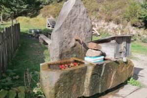 Törlehütte – ForstBW Betriebsteil Mittlerer Schwarzwald