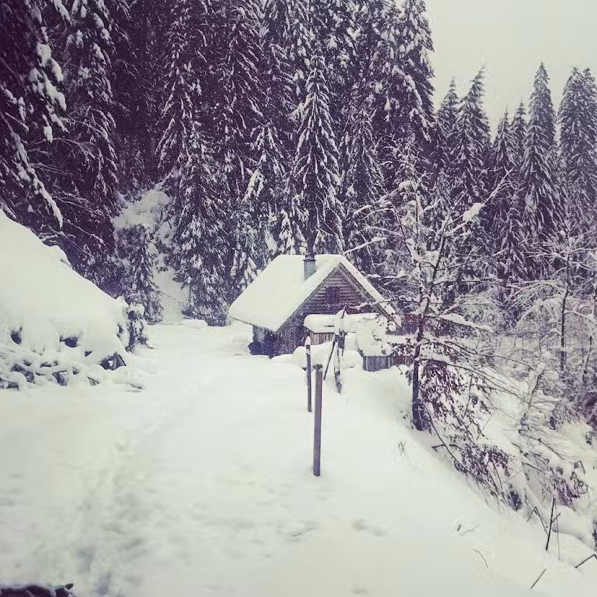 Törlehütte – ForstBW Betriebsteil Mittlerer Schwarzwald