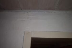 Tourismus-Team Jonas Jöns