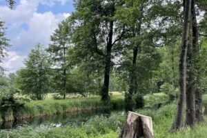 Tourismusverband Spreewald Raddusch/Spreewald