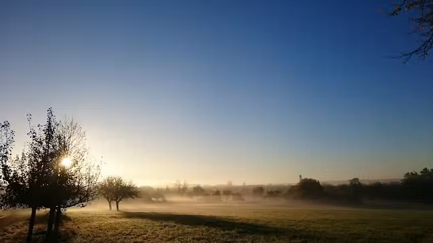 Treige Immobilien GmbH