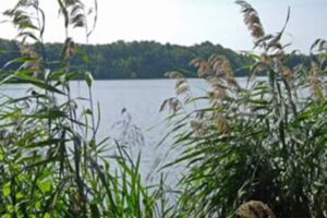 Trend Immobilien Burczyk