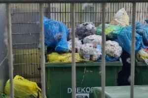 Treubau Verwaltung GmbH