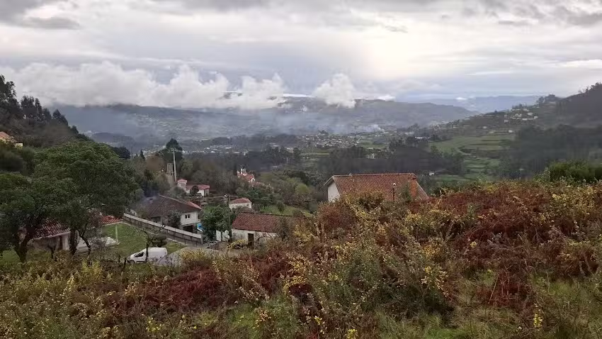 V+V Vermietungsservice UG