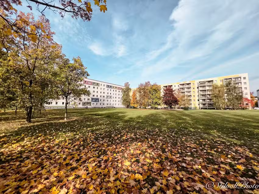 Velero Immobilien GmbH