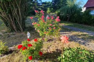 Vermietung von FeWo & FeHäuser