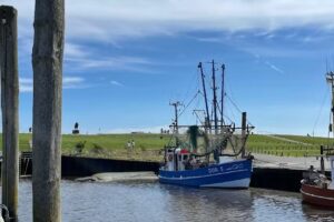 Vermietungsagentur TOHUUS – Ferienunterkünften in Dorum-Neufeld