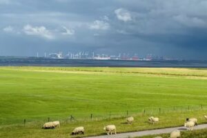 Vermietungsservice-Nordsee-Daniel