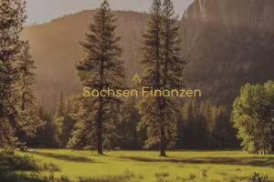 Versicherungsmakler Sachsen-Finanzen