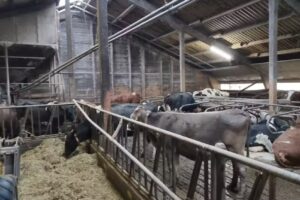 Victorhof Landurlaub & Ferienwohnungen