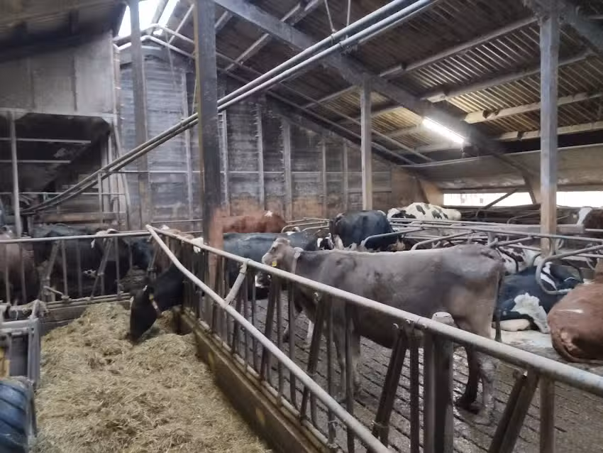 Victorhof Landurlaub & Ferienwohnungen