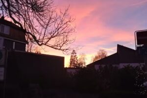 Visser Immobilien – Jacobus Visser Goslar