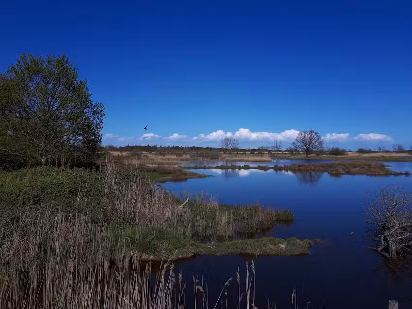 Volker Callsen, Ferienhäuser/Ferienwohnungen