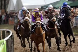 Volksbank Immobilien Niederrhein GmbH