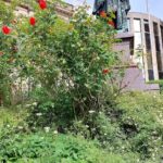 Volksbank Immobilien Ulm Biberach Ravensburg GmbH