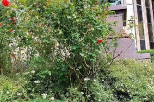 Volksbank Immobilien Ulm Biberach Ravensburg GmbH