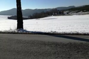 Vollmer-Lentmann Immobilien Service GmbH