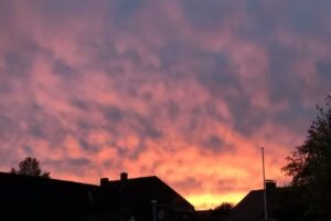 Von der Brelie Immobilienverwaltung GmbH