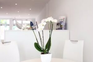 VON POLL IMMOBILIEN Buxtehude