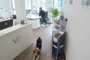 VON POLL IMMOBILIEN Fürstenfeldbruck