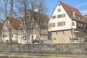 Waidele Immobilienteam