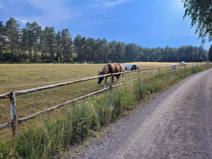 Waldhof Bruchmühle – I. Schwahn & O. Schwahn