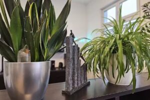 Weihe Immobilien Service Agentur – Projekt – und Interimsmanagement in der Immobilienbranche