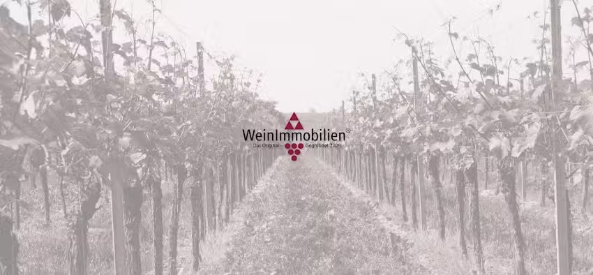 WeinImmobilien Roland Minges