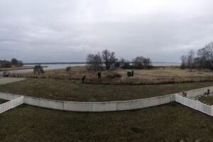 WELL Yachthafen Peenemünde Resort