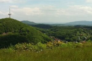 Westfalica Consulting