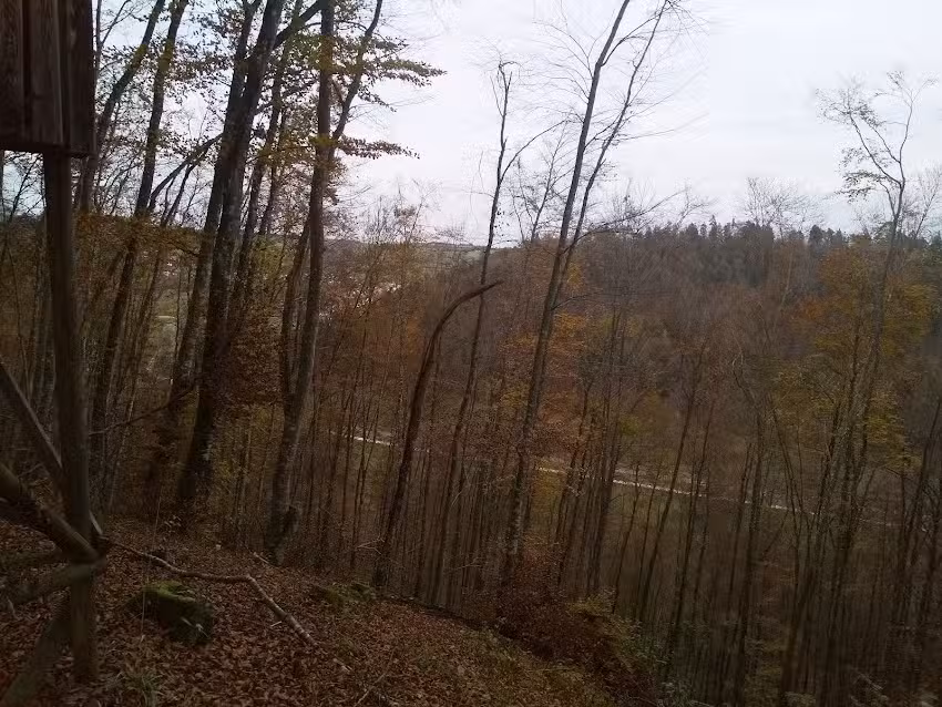 Wichmann-Röser´s Ferienhäusle