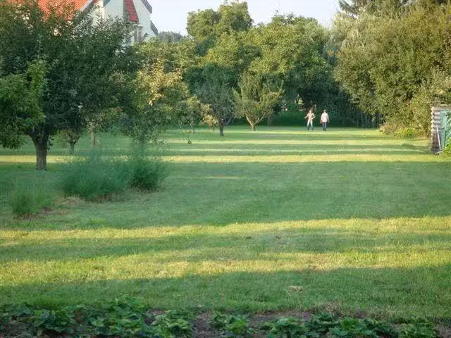 Willawies