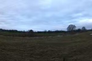 Wissing Immobilien GmbH & Co. KG