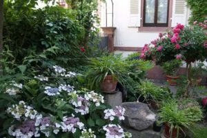 „Wohnen auf Zeit“ – StadtVilla Neustadt / Temporary accommodation