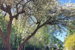 Wohnungsgenossenchaft Schlieben e.G.