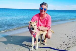 Wohnwagenvermietung CAMPING-SYLT