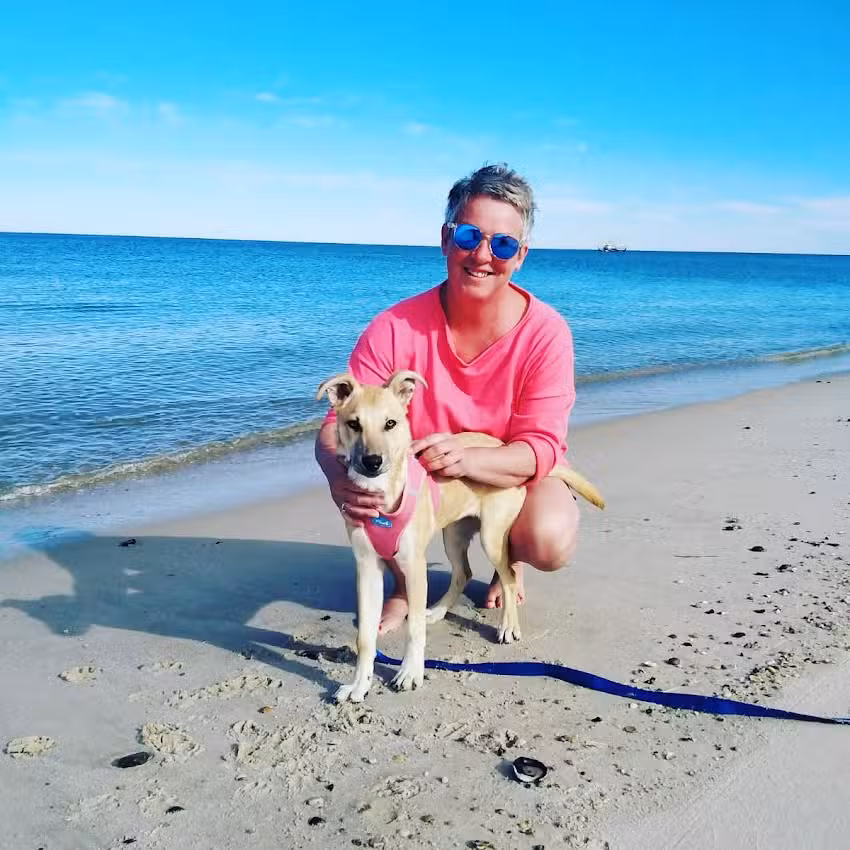 Wohnwagenvermietung CAMPING-SYLT