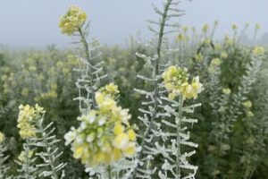 WSN Grundbesitz GmbH