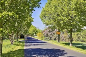 Wüstenrot Immobilien Mathias Bergmann