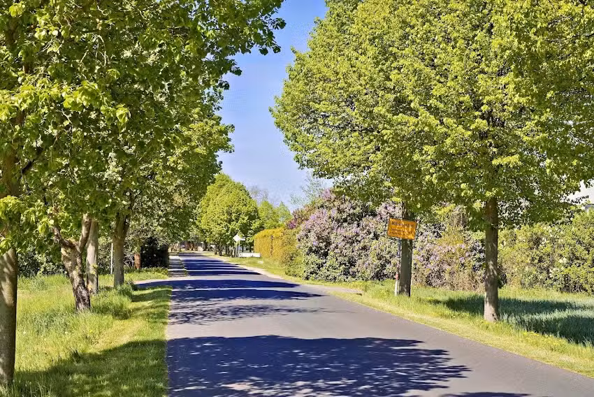 Wüstenrot Immobilien Mathias Bergmann