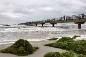 Zimmerbörse Prerow & Zingst