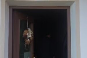 Zimmervermietung Kopp-Hof