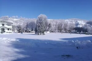 Zimmervermietung Schepers