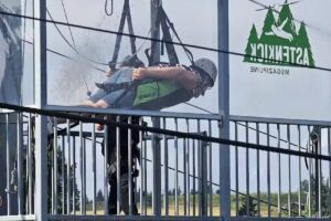 Zum großen Bildchen